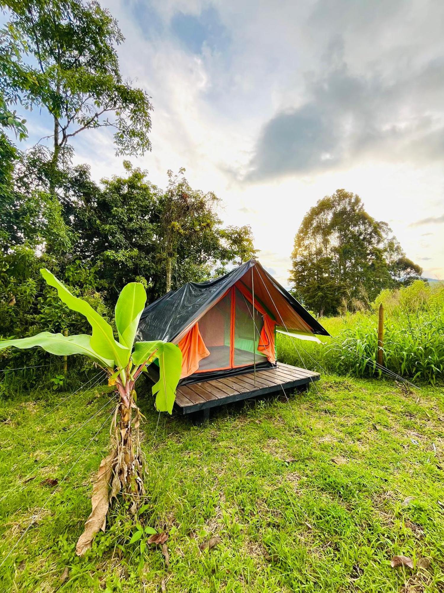 Ecoxplora-Zona De Camping Jardin Ngoại thất bức ảnh