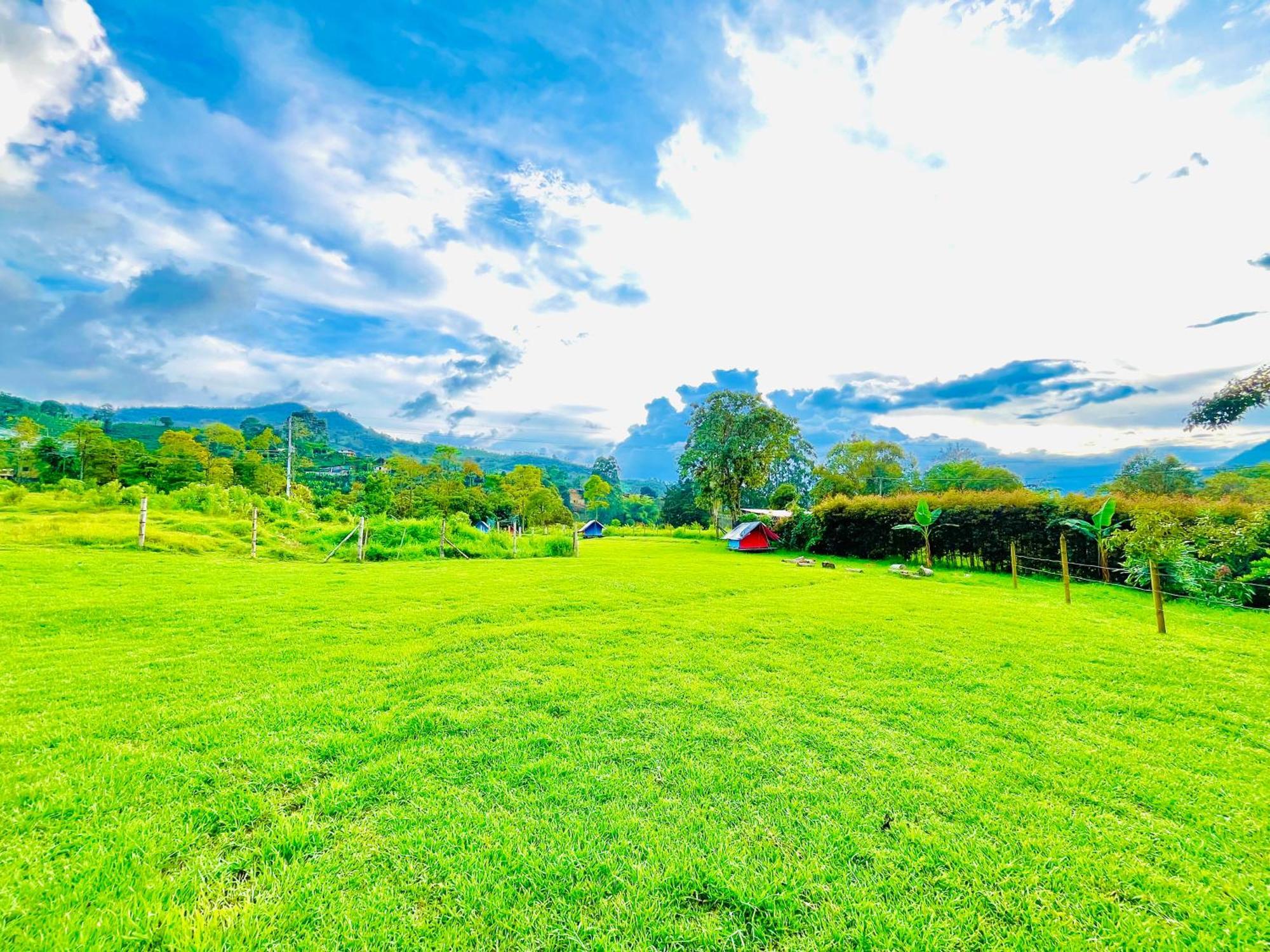 Ecoxplora-Zona De Camping Jardin Ngoại thất bức ảnh